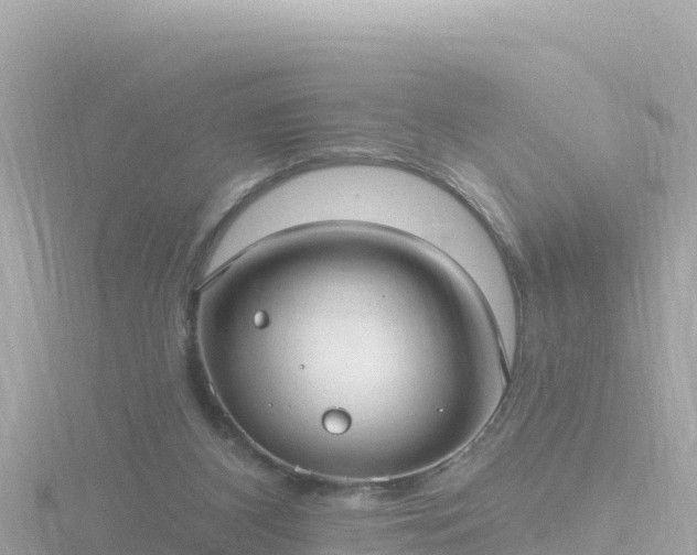 X0000116790116200912241210