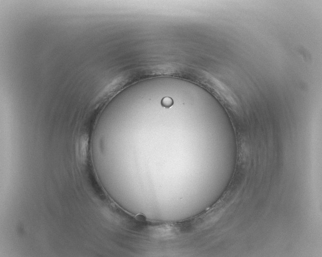 X0000116790118200912241210