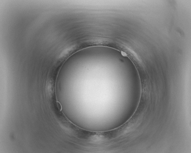 X0000116790119200912241210