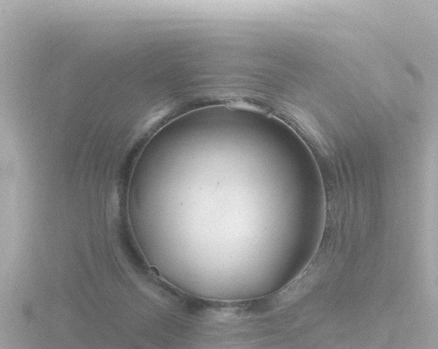 X0000116790120200912241210