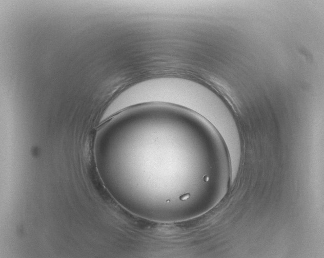 X0000116790121200912241210