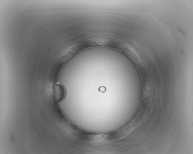 X0000116790122200912241210