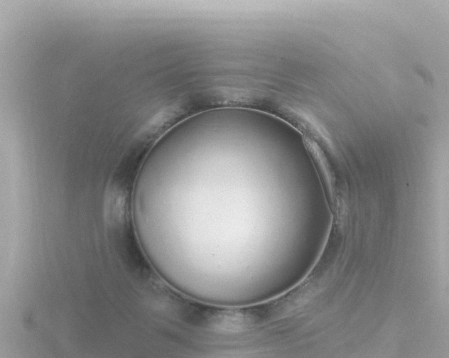 X0000116790123200912241210