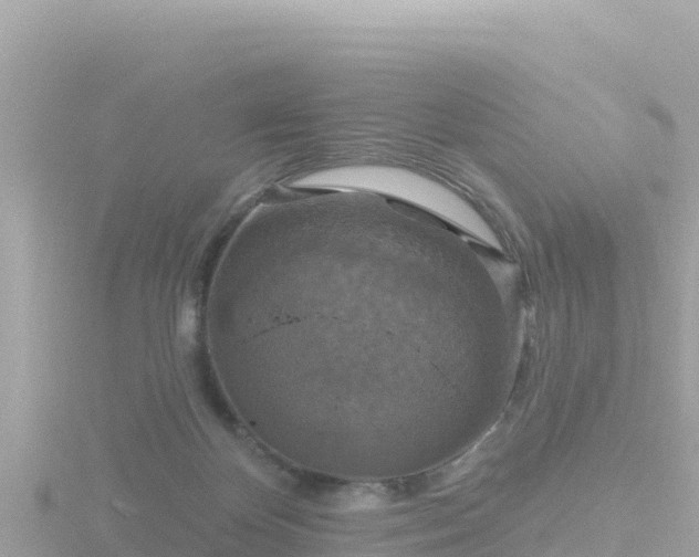 X0000116790124200912241210