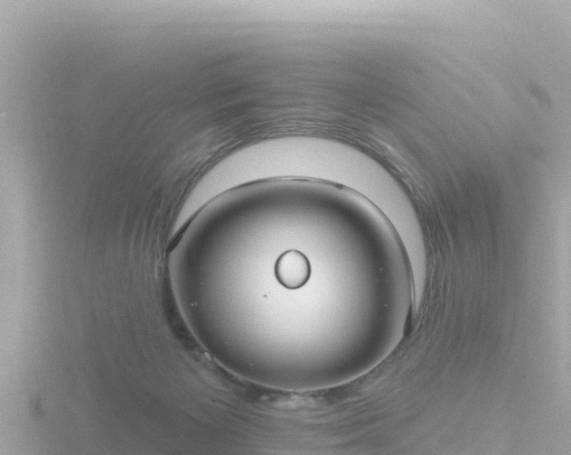 X0000116790125200912241209