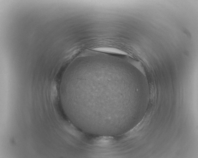 X0000116790128200912241209