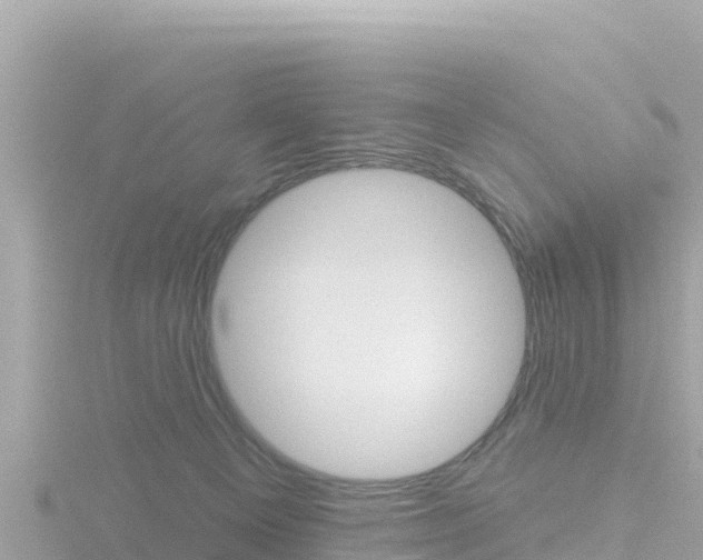 X0000116790129200912241209