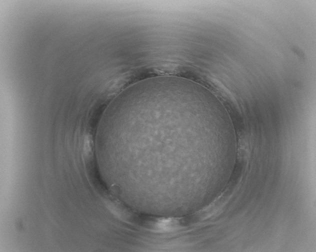 X0000116790130200912241209