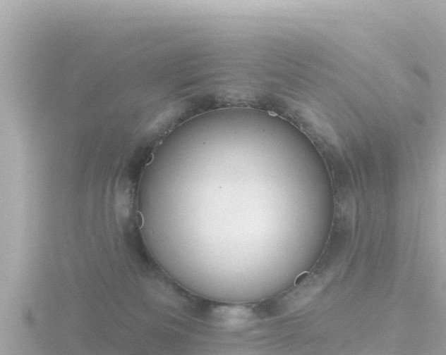 X0000116790133200912241209