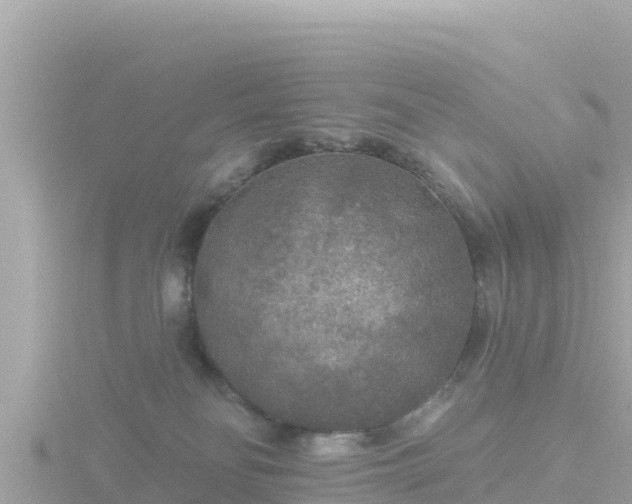 X0000116790134200912241209