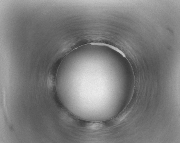 X0000116790135200912241209