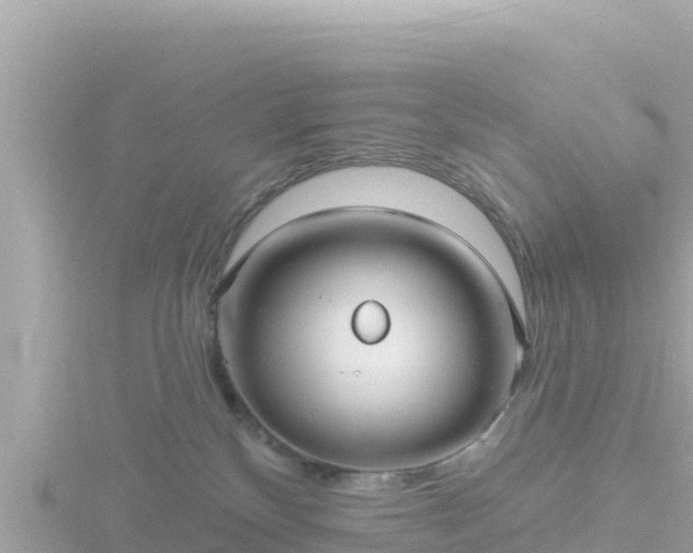 X0000116790136200912241209