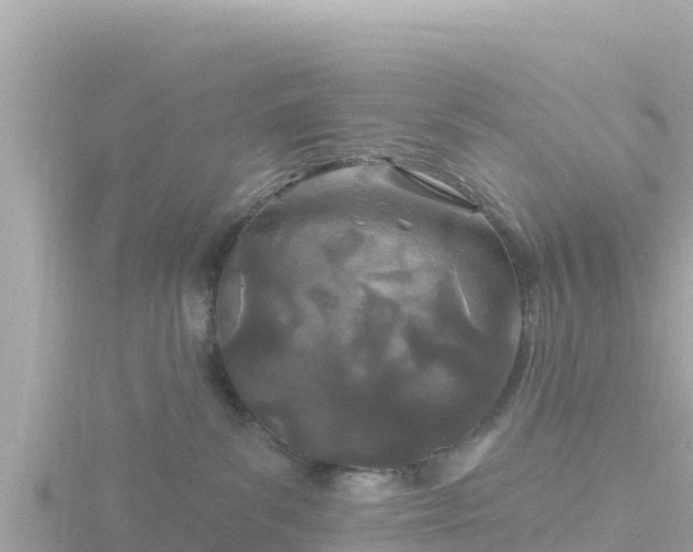 X0000116790139200912241209