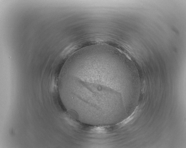 X0000116790140200912241209