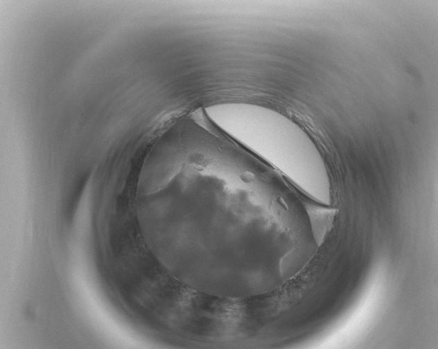 X0000116790143200912241209