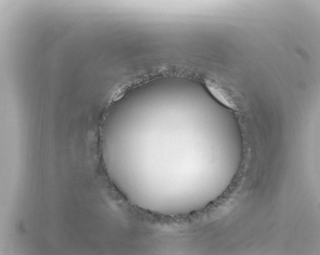 X0000116790144200912241209