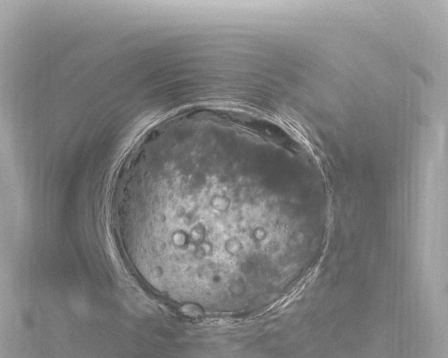 X0000116790145200912241209