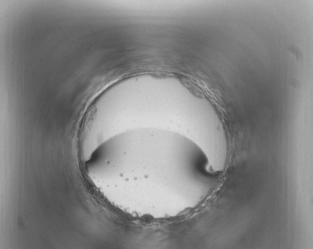 X0000116790146200912241209