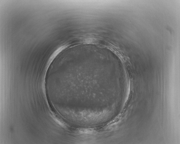 X0000116790147200912241209