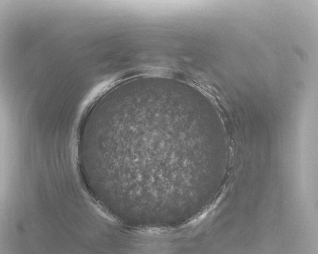 X0000116790149200912241209