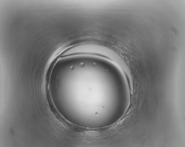 X0000116790150200912241209