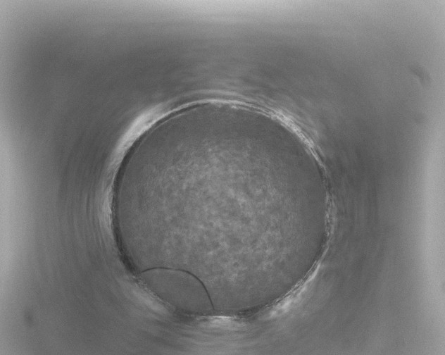 X0000116790151200912241209