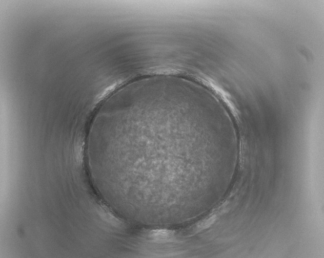 X0000116790153200912241209