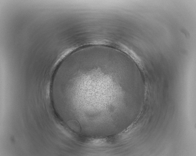 X0000116790155200912241209