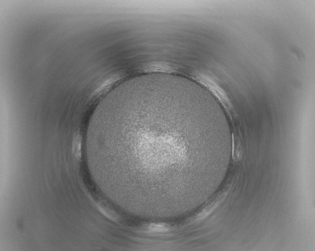 X0000116790157200912241209