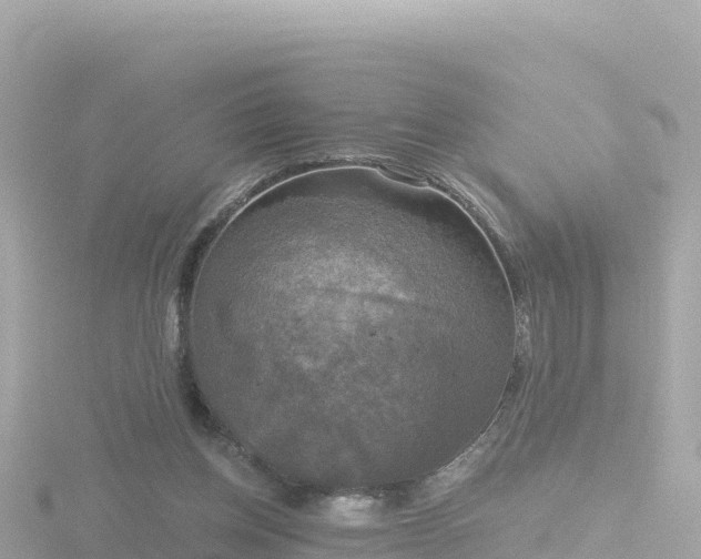 X0000116790158200912241209