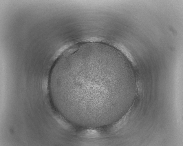 X0000116790159200912241209