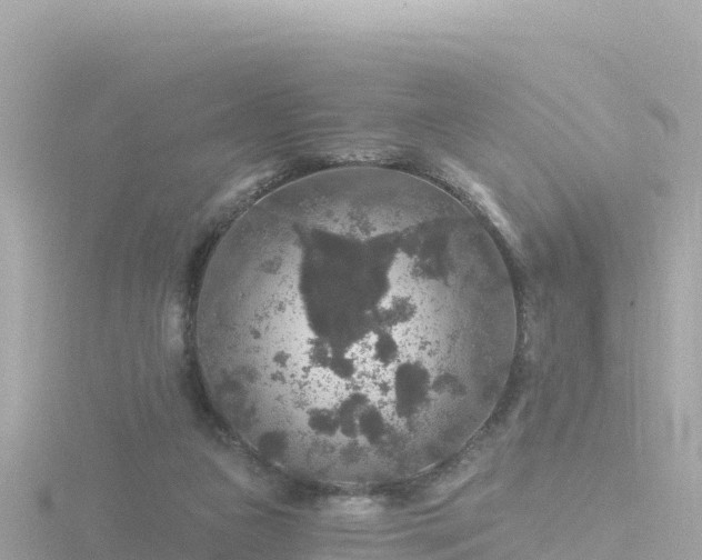 X0000116790161200912241209