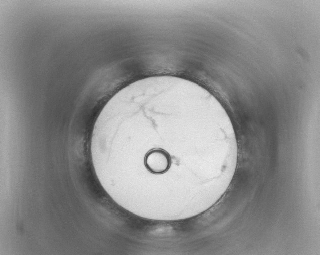 X0000116790162200912241209