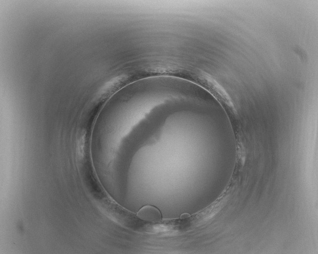 X0000116790163200912241209