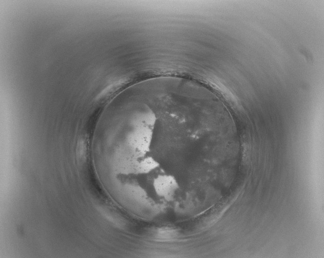 X0000116790165200912241209