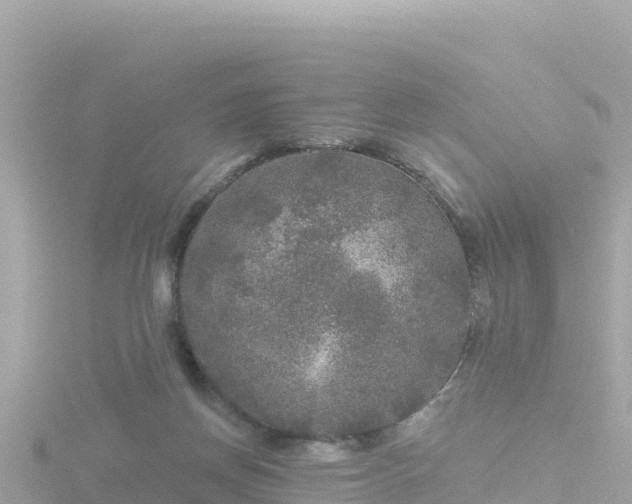 X0000116790166200912241209