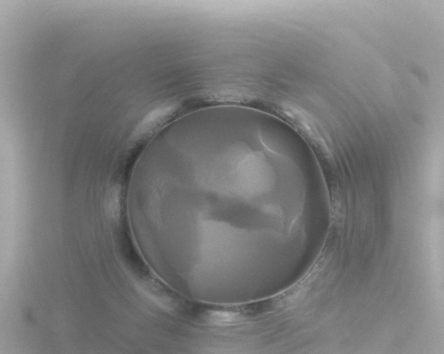 X0000116790167200912241209