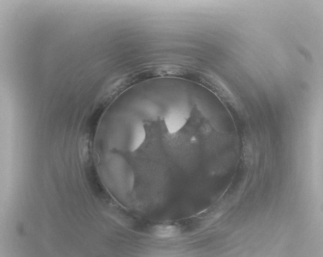 X0000116790169200912241209