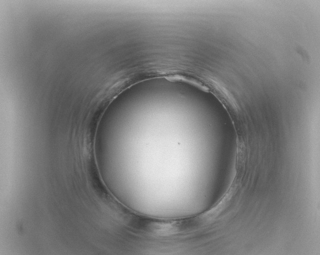 X0000116790170200912241209