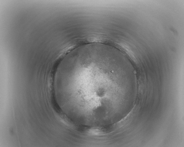 X0000116790171200912241209