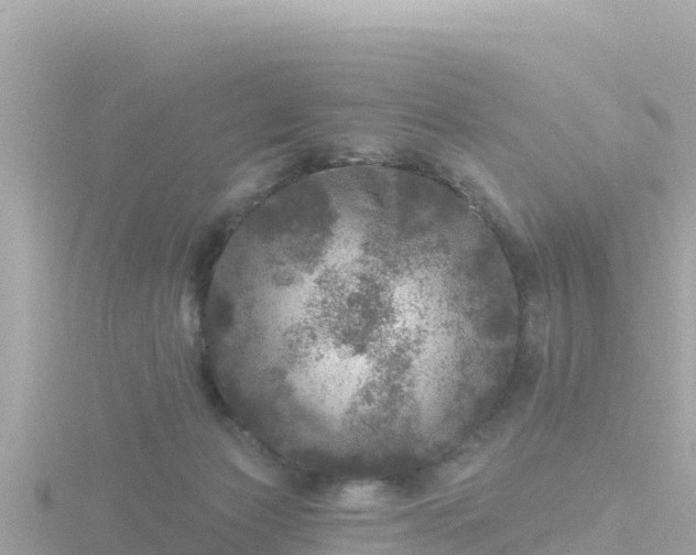 X0000116790173200912241209