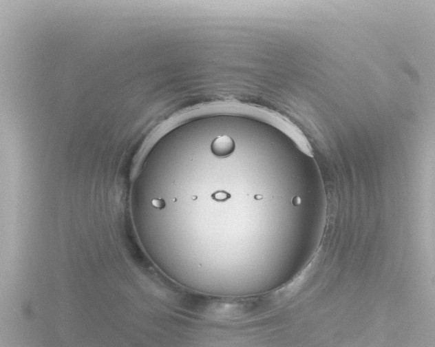 X0000116790174200912241209