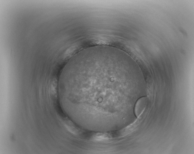 X0000116790175200912241209