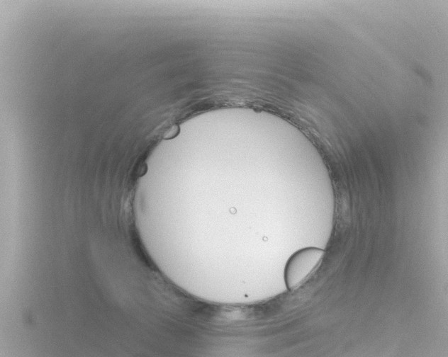 X0000116790177200912241209