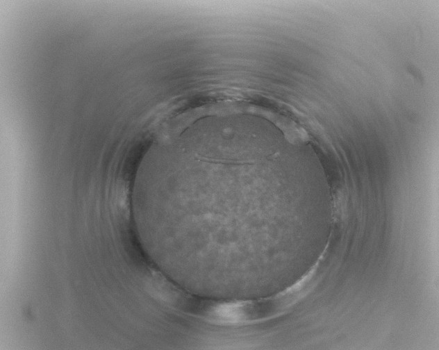 X0000116790178200912241209