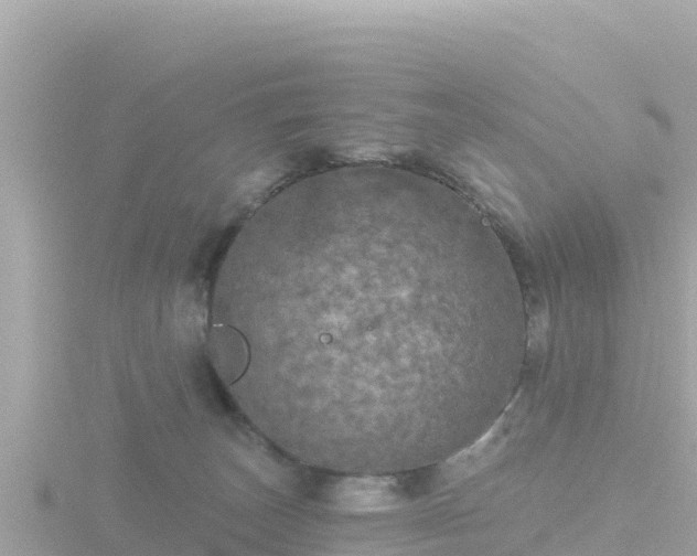 X0000116790179200912241209