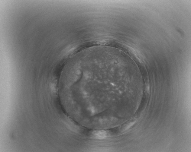 X0000116790181200912241209