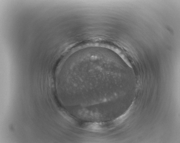 X0000116790182200912241209