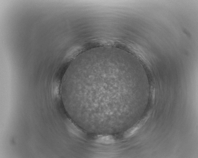 X0000116790185200912241209