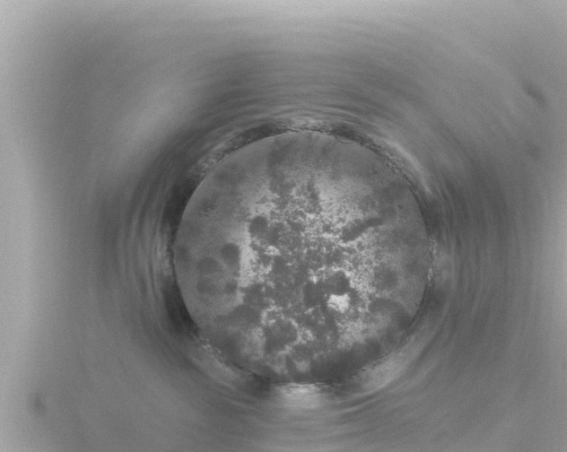 X0000116790189200912241209